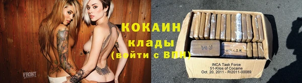 гашик Аркадак