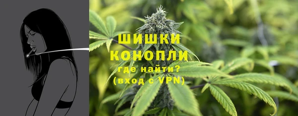 гашик Арсеньев