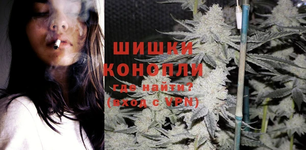 гашик Аркадак