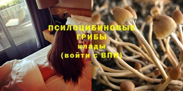 гашик Арсеньев
