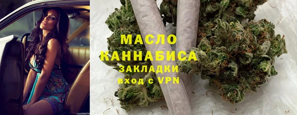 гашик Арсеньев