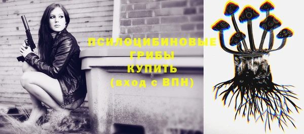 гашик Аркадак