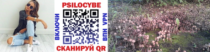 Купить где  Светлый  Псилоцибиновые грибы GOLDEN TEACHER 